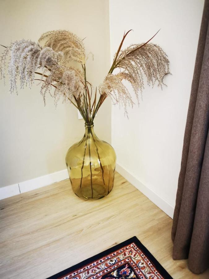 Vida Y Mar Apartamentos Peñíscola Eksteriør billede